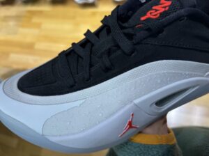 ザイオン 4 レビュー