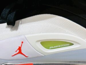 ザイオン 4 レビュー