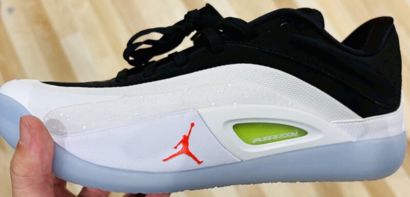 ザイオン4レビュー