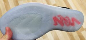 ザイオン 4 レビュー