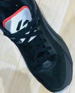 ルカ５ レビュー