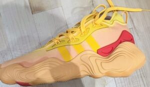 トレイヤング3 レビュー