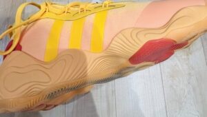 トレイヤング3 レビュー