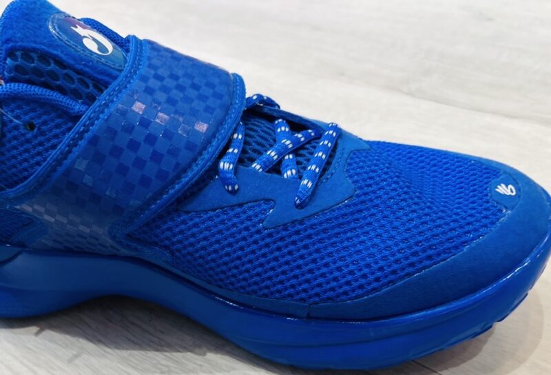 カリーフォックス1 レビュー