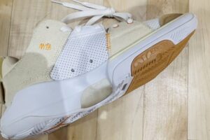 ジョーダン ワンテイク 5 レビュー