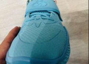 カリーフォックス2 レビュー