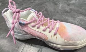 ウェイド シャドウ 7 レビュー